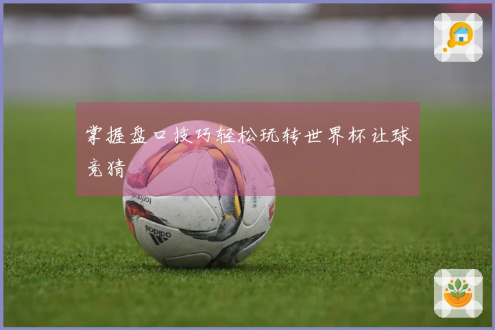 掌握盘口技巧轻松玩转世界杯让球竞猜