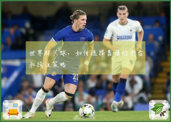 世界杯买球，如何选择靠谱的平台和投注策略