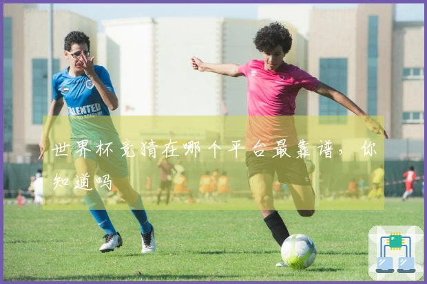 世界杯竞猜在哪个平台最靠谱，你知道吗