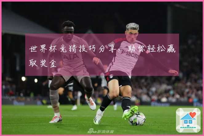 世界杯竞猜技巧分享，助你轻松赢取奖金