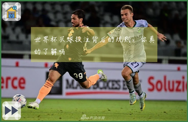 世界杯买球投注背后的规则，你真的了解吗