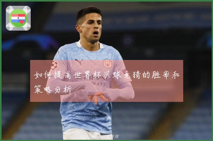 如何提高世界杯买球竞猜的胜率和策略分析