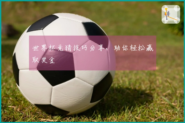 世界杯竞猜技巧分享，助你轻松赢取奖金