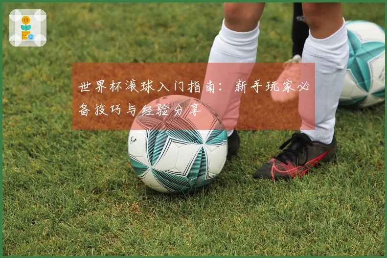 世界杯滚球入门指南：新手玩家必备技巧与经验分享