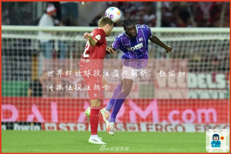 世界杯让球投注盘口解析：教你如何抓住投注机会