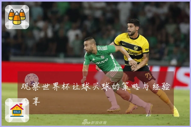 观察世界杯让球买球的策略与经验分享
