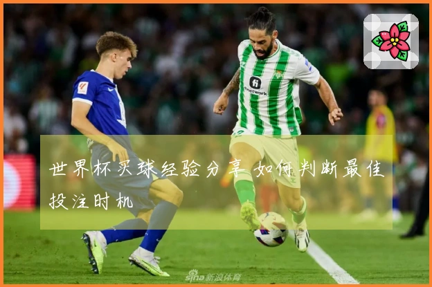 世界杯买球经验分享 如何判断最佳投注时机
